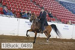 13buck_0489 proof