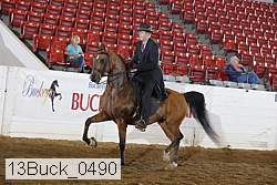 13buck_0490 proof