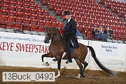 13buck_0492 proof
