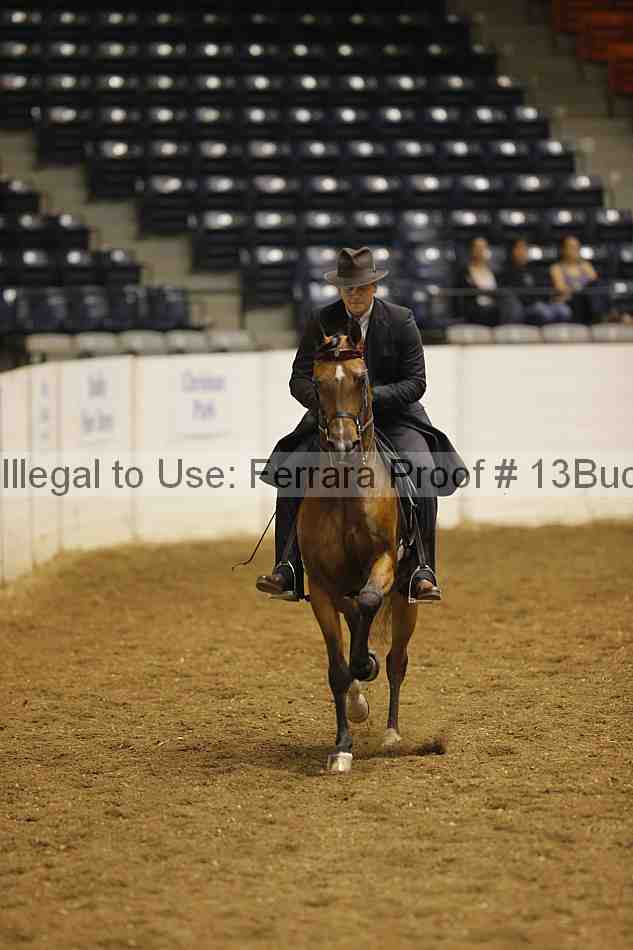 Proof 13buck_0493