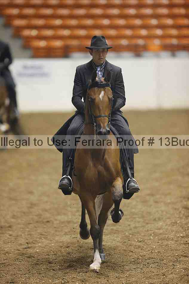 Proof 13buck_0494