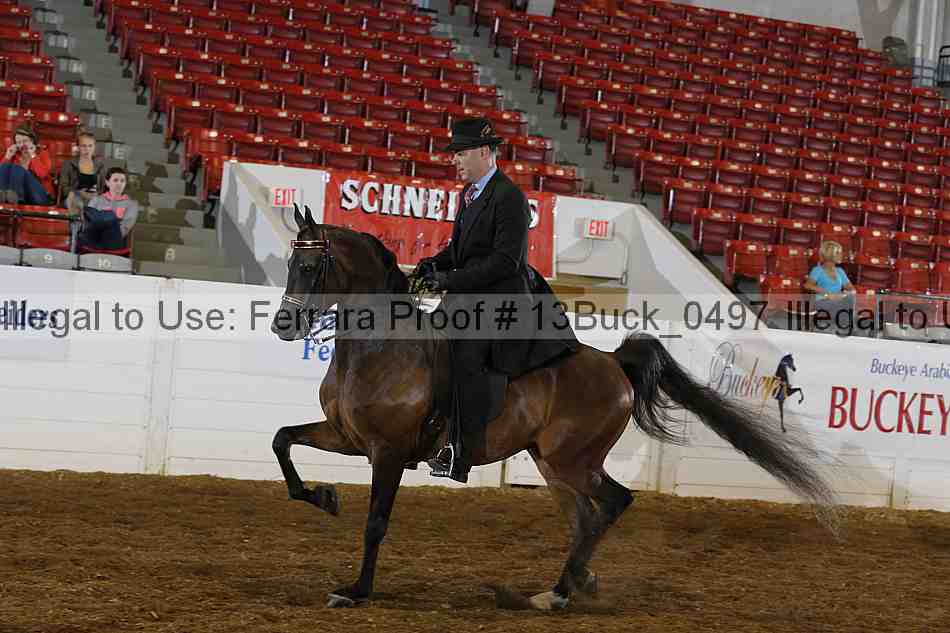 Proof 13buck_0497