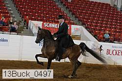 13buck_0497 proof