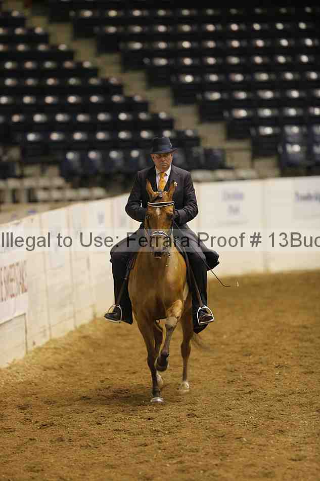 Proof 13buck_0498