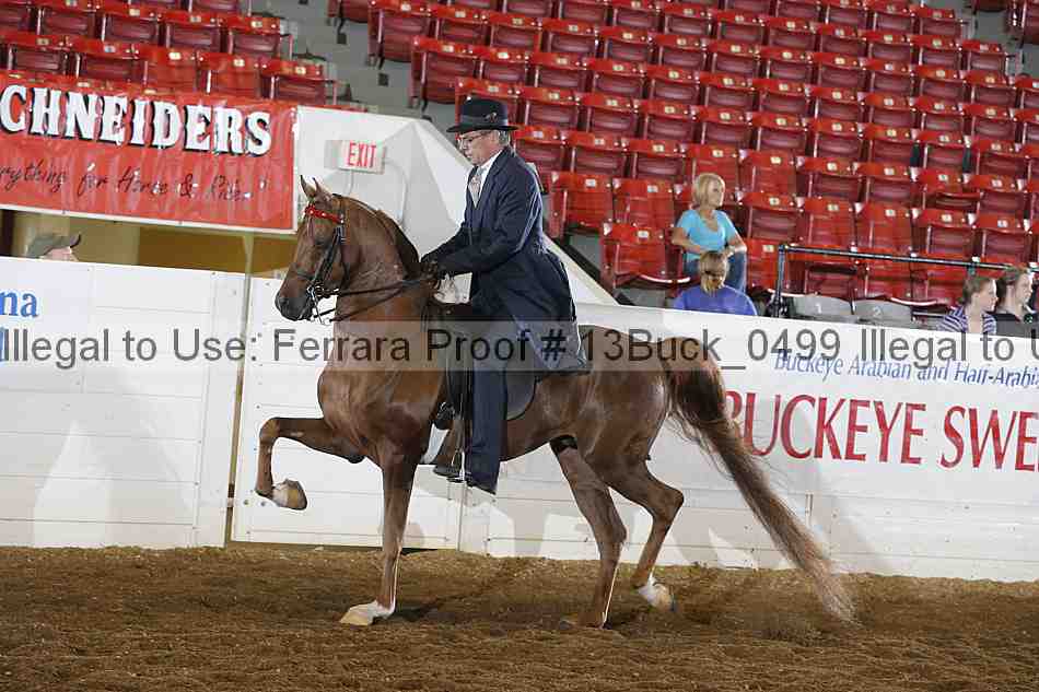 Proof 13buck_0499