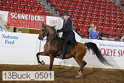 13buck_0501 proof