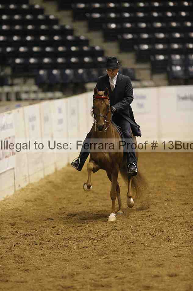 Proof 13buck_0502