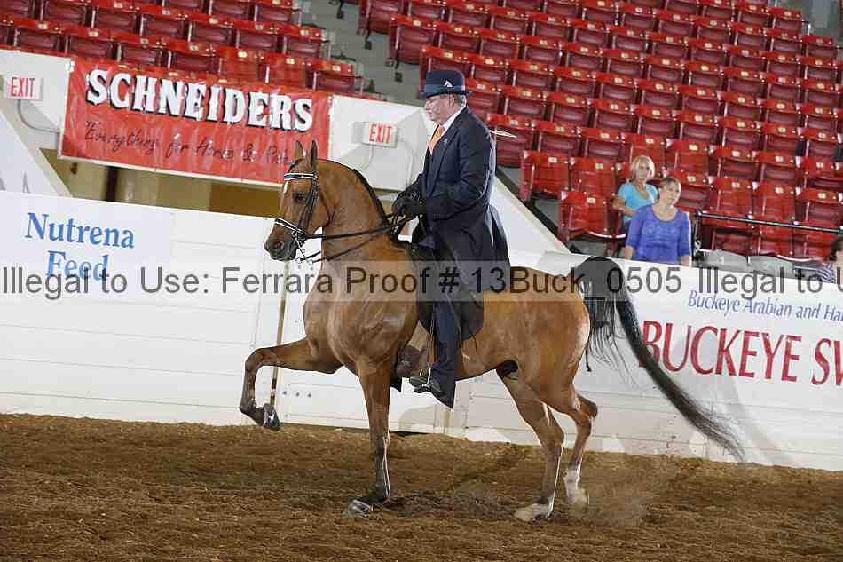 Proof 13buck_0505