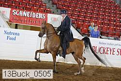 13buck_0505 proof