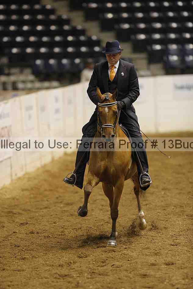 Proof 13buck_0506