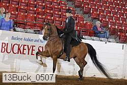 13buck_0507 proof