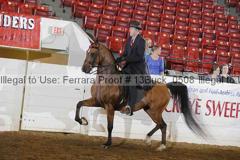 Proof 13buck_0508