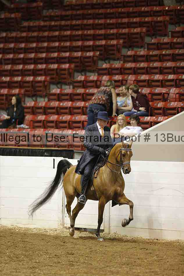 Proof 13buck_0511