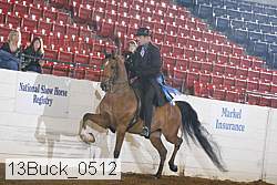 13buck_0512 proof