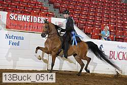13buck_0514 proof