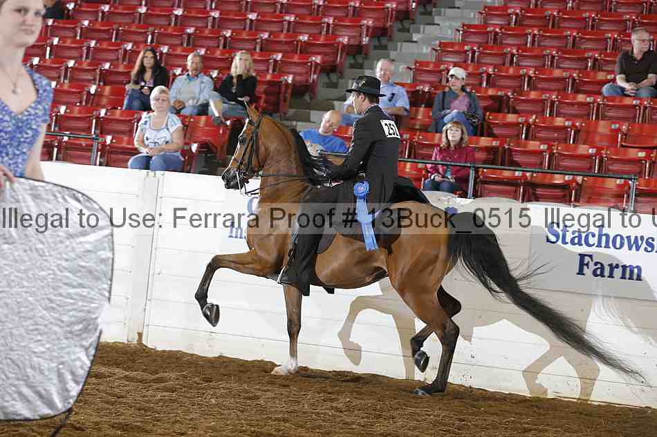 Proof 13buck_0515