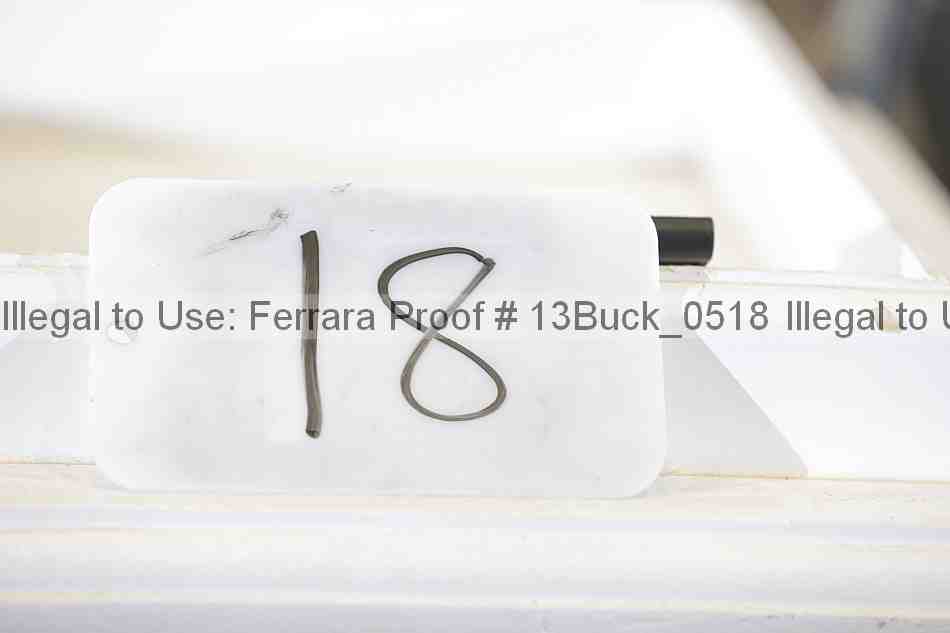 Proof 13buck_0518