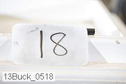 13buck_0518 proof