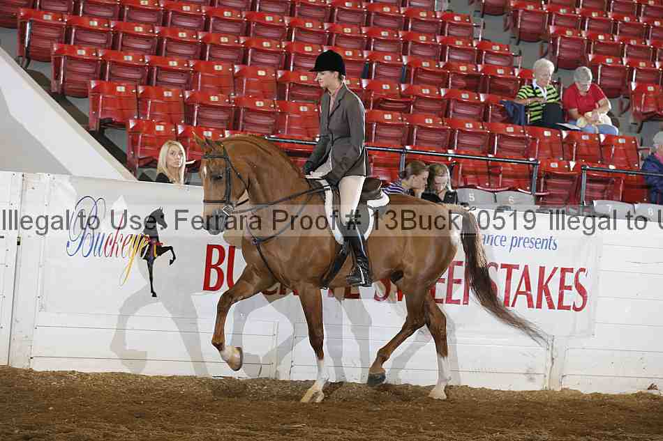 Proof 13buck_0519