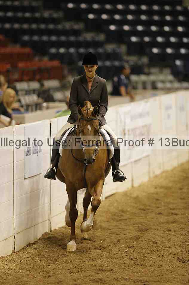 Proof 13buck_0522