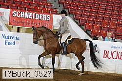 13buck_0523 proof