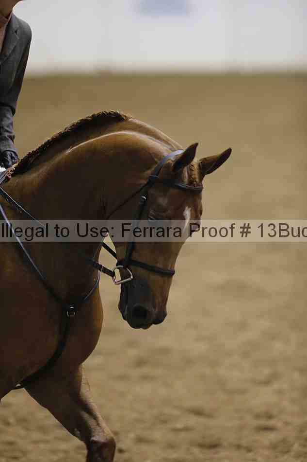Proof 13buck_0524