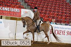 13buck_0525 proof
