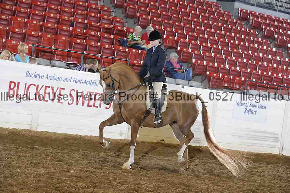 Proof 13buck_0527