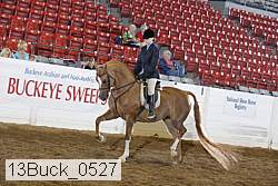 13buck_0527 proof