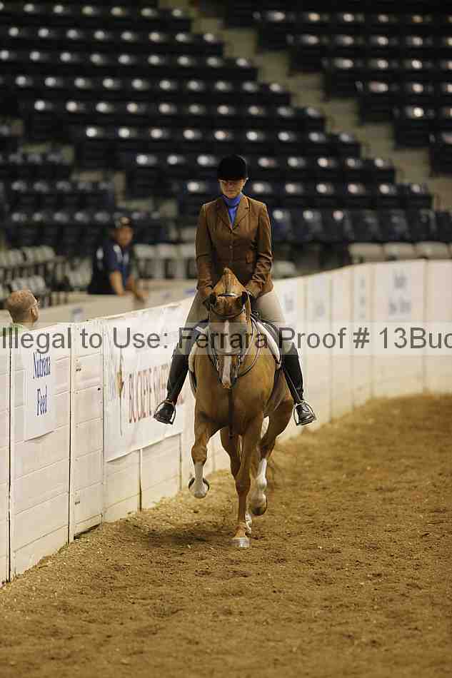 Proof 13buck_0528