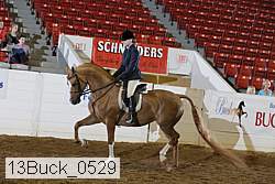 13buck_0529 proof