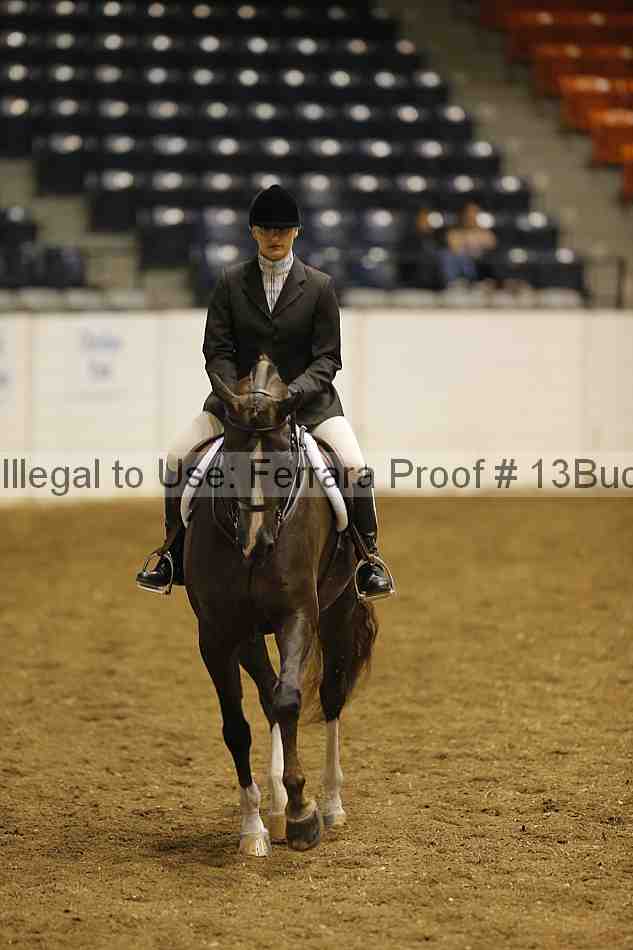 Proof 13buck_0531