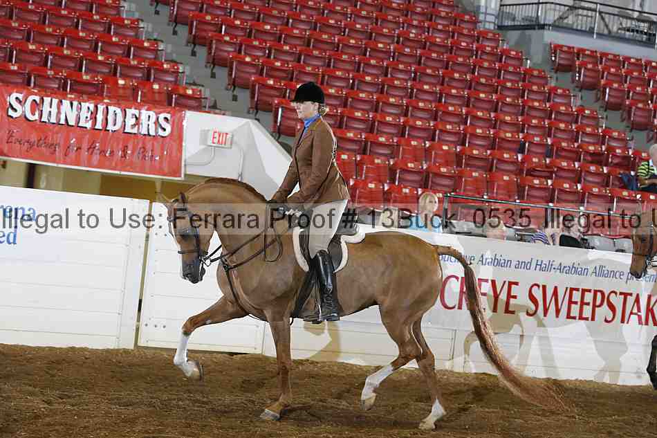 Proof 13buck_0535
