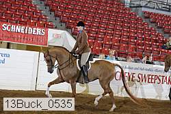 13buck_0535 proof