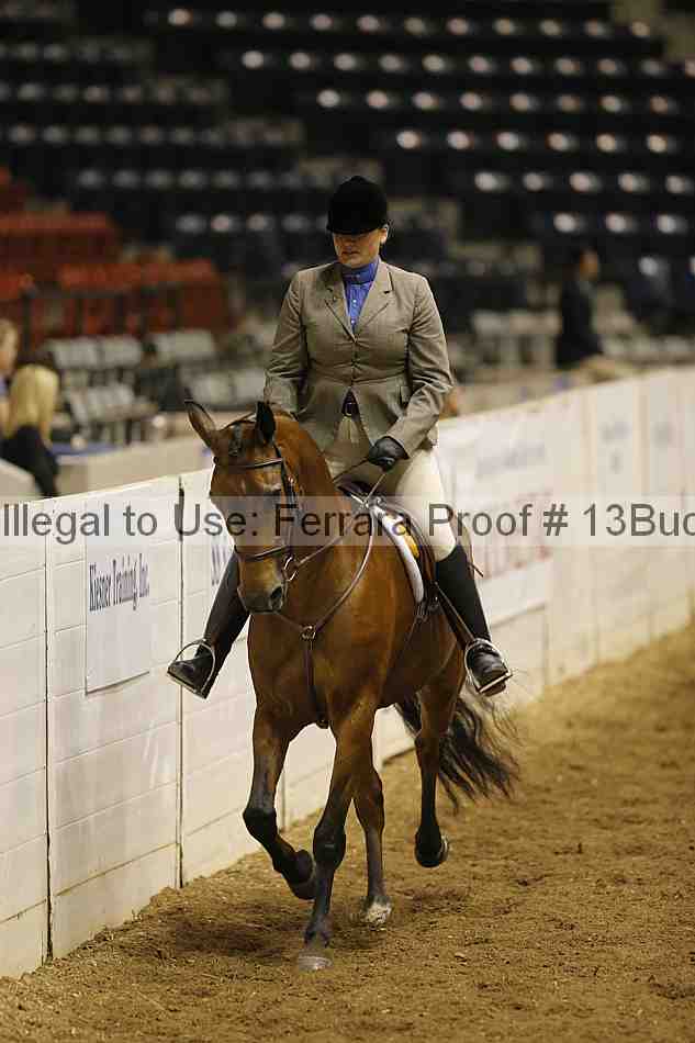 Proof 13buck_0539