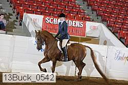 13buck_0542 proof