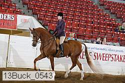 13buck_0543 proof