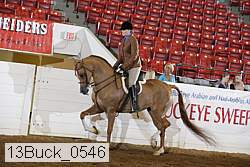 13buck_0546 proof