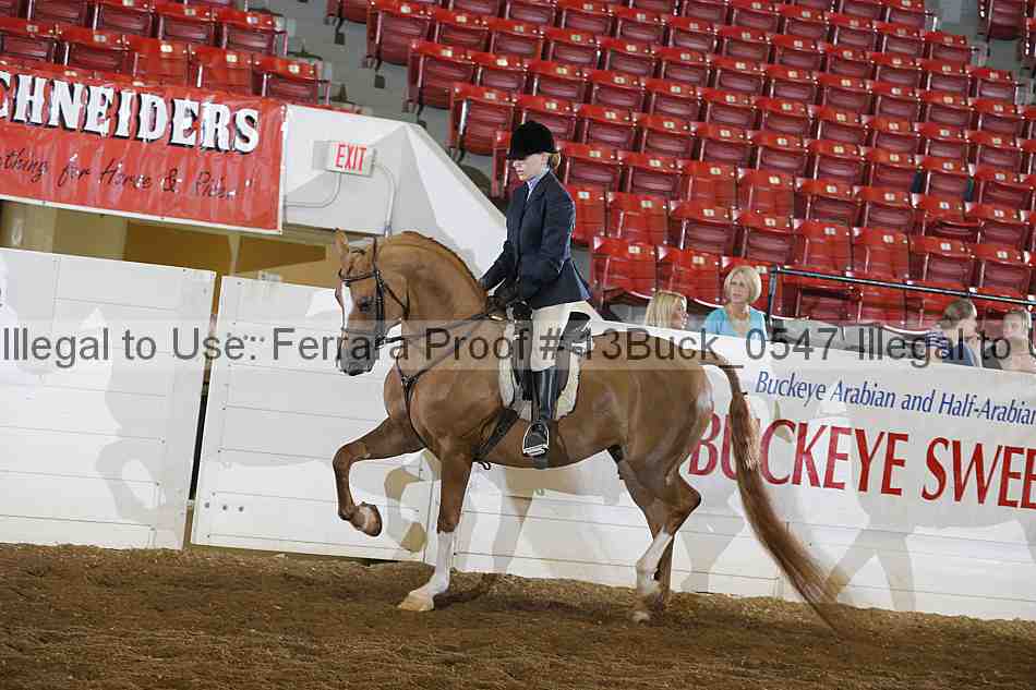 Proof 13buck_0547