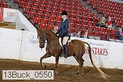 13buck_0550 proof