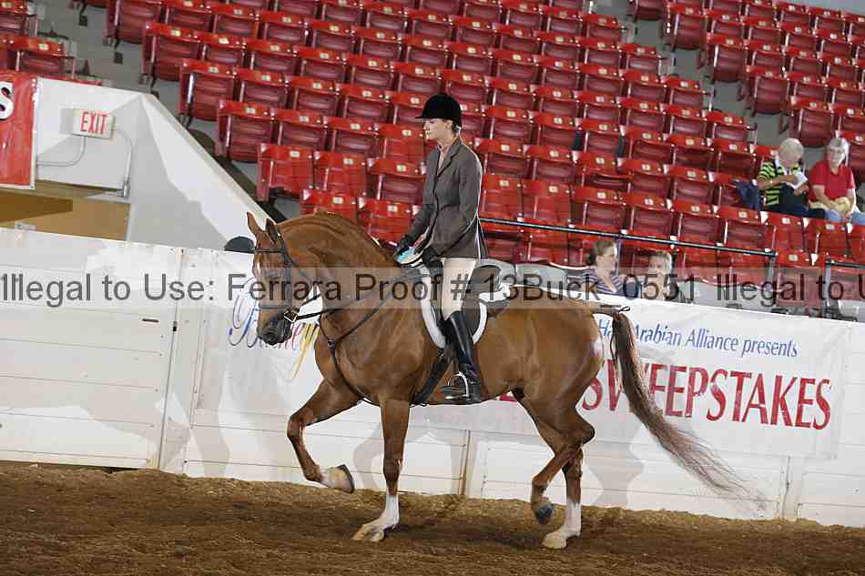 Proof 13buck_0551