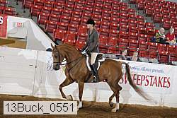 13buck_0551 proof