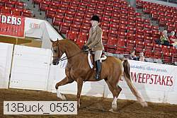 13buck_0553 proof