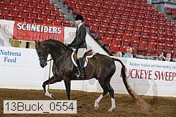 13buck_0554 proof