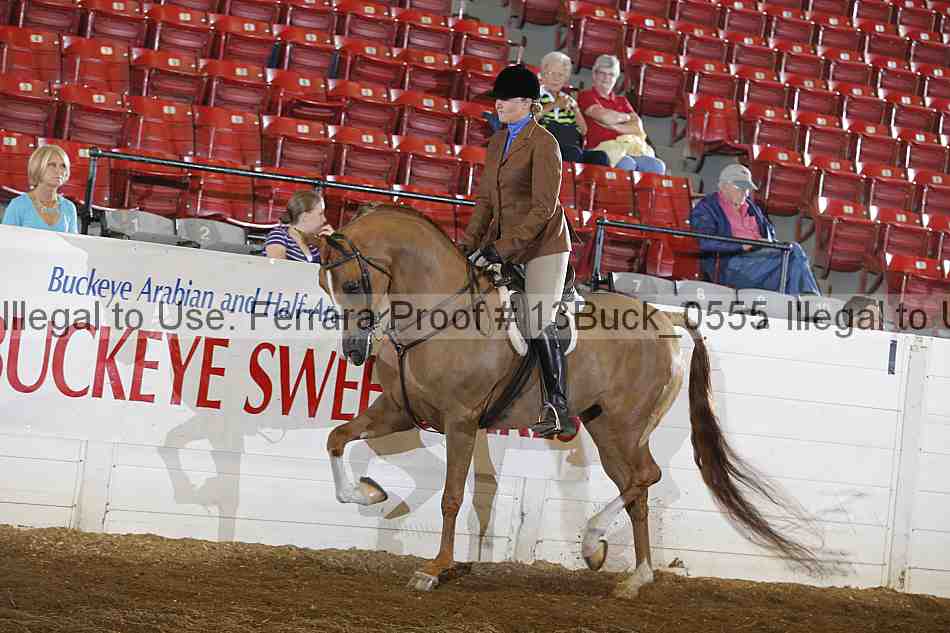 Proof 13buck_0555