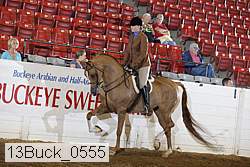 13buck_0555 proof