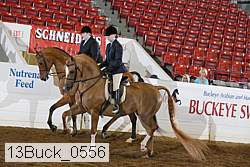 13buck_0556 proof