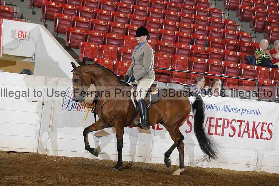 Proof 13buck_0558