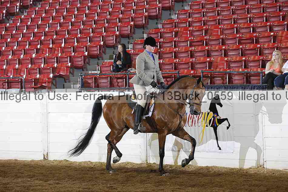 Proof 13buck_0559