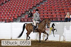 13buck_0559 proof